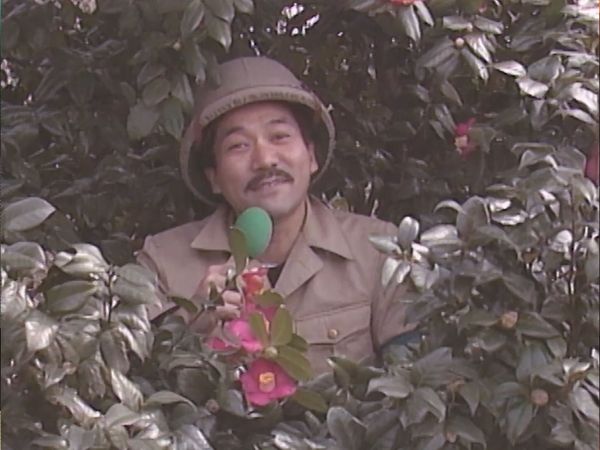 MXC (Most Extreme Elimination Challenge) - Desperate Housewives vs. UFC