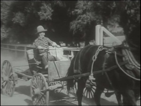 Four Star Playhouse - Henry and the Psychopathic Horse