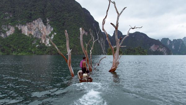 Asia: vite segrete, luoghi nascosti - Tailandia, la vita selvaggia di Khao Sok