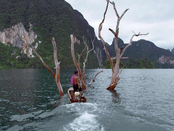 Asia: vite segrete, luoghi nascosti - Tailandia, la vita selvaggia di Khao Sok