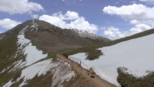 Asia: vite segrete, luoghi nascosti - L'oro dell'Himalaya