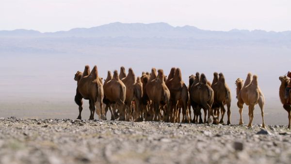 Asia: vite segrete, luoghi nascosti - Il fascino della Mongolia