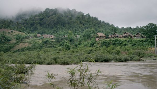 Asia: vite segrete, luoghi nascosti - Nella giungla vietnamita