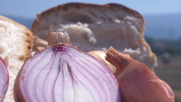 La buona cucina - La cipolla ramata di Montoro - Il sedano di Gesualdo