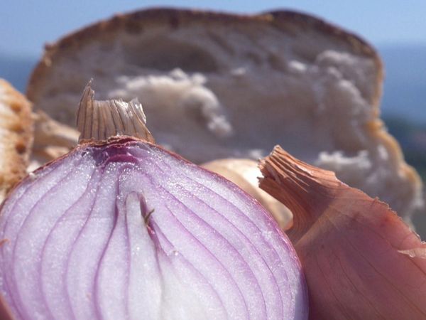 La buona cucina - La cipolla ramata di Montoro - Il sedano di Gesualdo