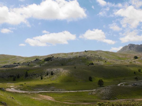 La buona cucina - Il canestrato di Castel del Monte - Il Tiròt di Fellonica