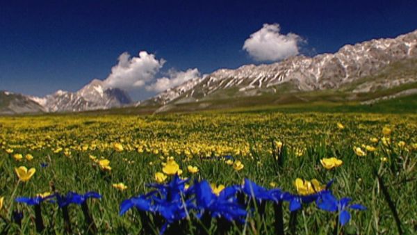 Parchi italiani - La montagna che visse due volte