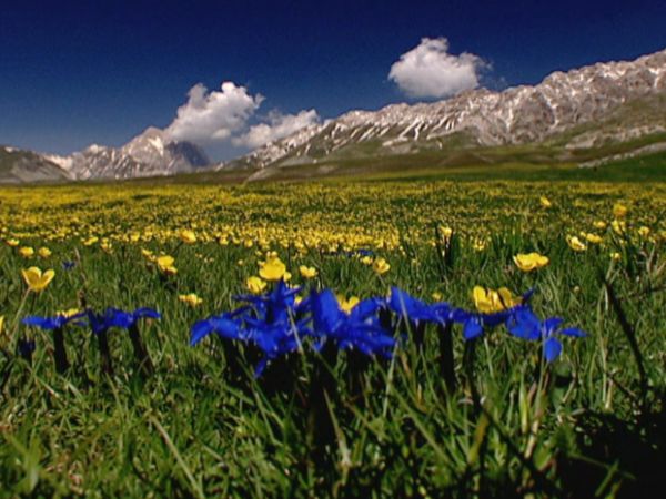Parchi italiani - La montagna che visse due volte