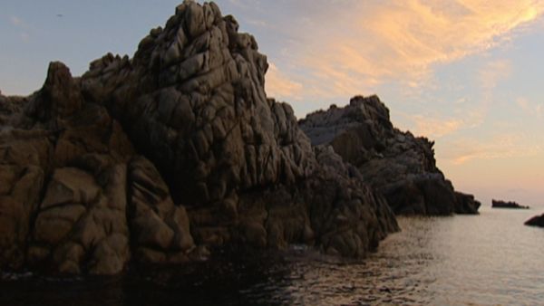 Parchi italiani - L'Isola