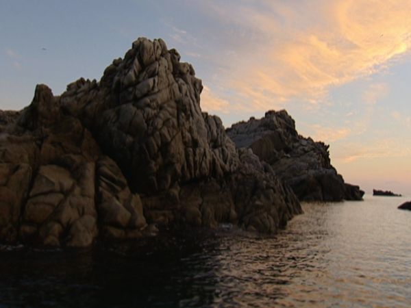 Parchi italiani - L'Isola