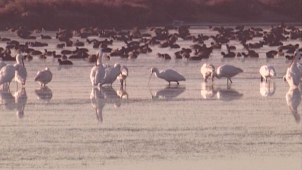 Parchi italiani - Il Parco nazionale della Majella