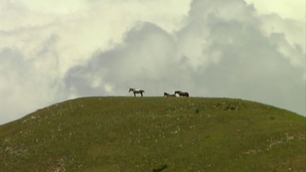 Parchi italiani - Nel regno della Sibilla