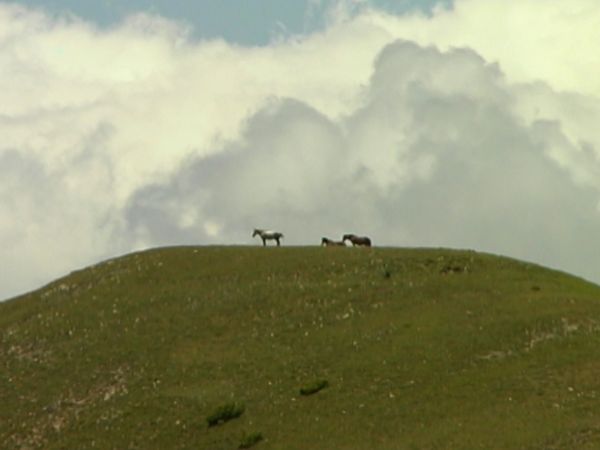 Parchi italiani - Nel regno della Sibilla