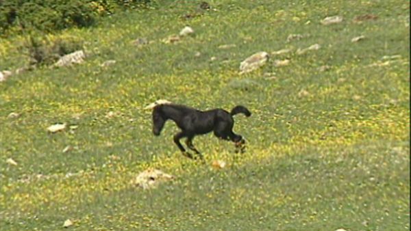 Parchi italiani - Le Colline della Memoria