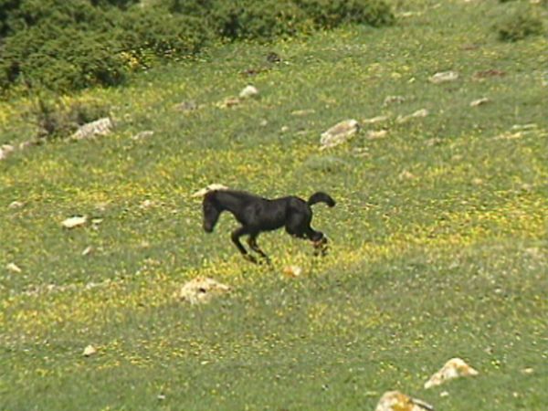Parchi italiani - Le Colline della Memoria