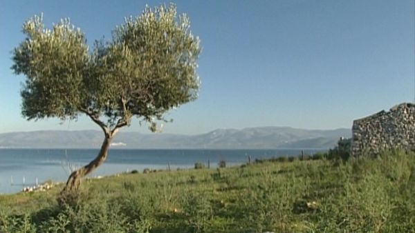 Parchi italiani - Parco nazionale del Gargano