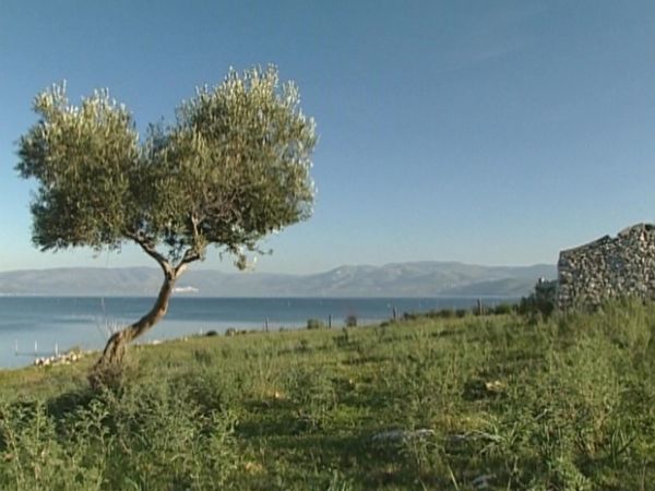 Parchi italiani - Parco nazionale del Gargano