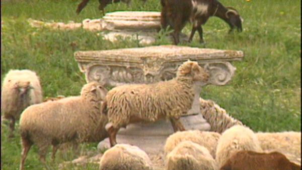Parchi italiani - Tavoliere, la Puglia dei Dauni