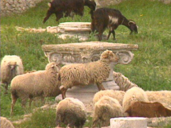Parchi italiani - Tavoliere, la Puglia dei Dauni