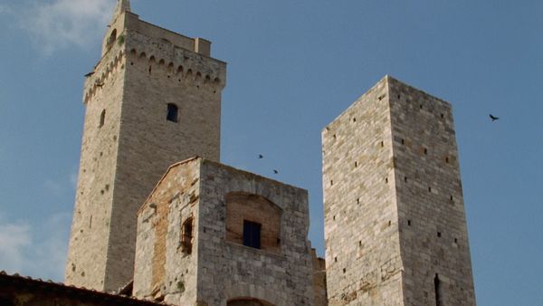 Europe sauvage - Les Nouveaux Castellans