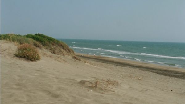 Europe sauvage - Derrière la dune