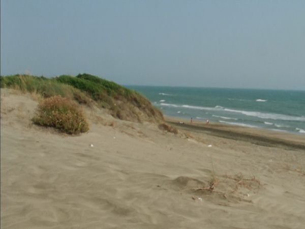 Europe sauvage - Derrière la dune