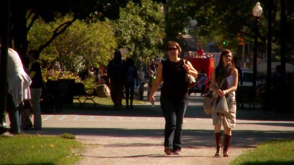 City Guides - Yorkville