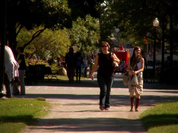 City Guides - Yorkville
