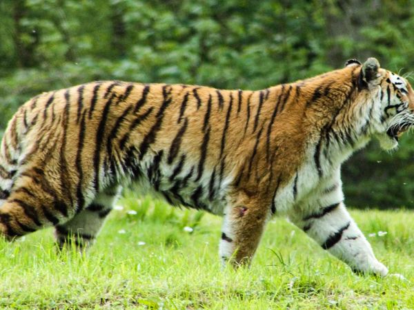 Animal Park - Episode 4