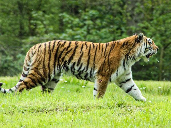 Animal Park - Episode 4