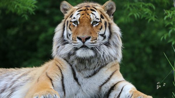 Animal Park - Episode 15