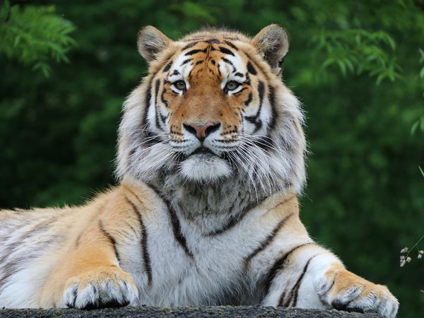 Animal Park - Episode 15