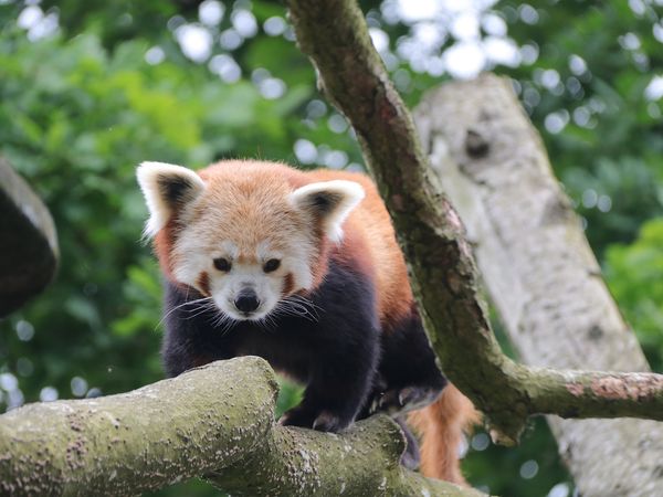 Animal Park - Episode 7