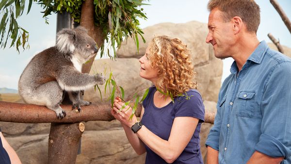 Animal Park - Episode 1