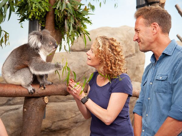 Animal Park - Episode 1