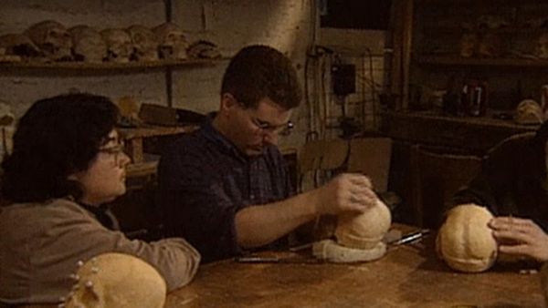 Forensic Files - Crime Seen