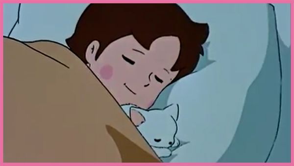 Heidi 2D - El gato abandonado