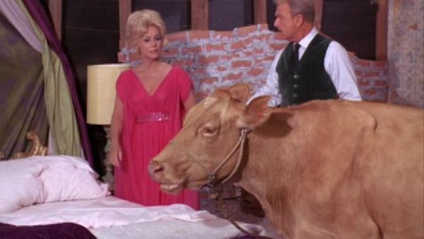 Green Acres - A Husband For Eleanor