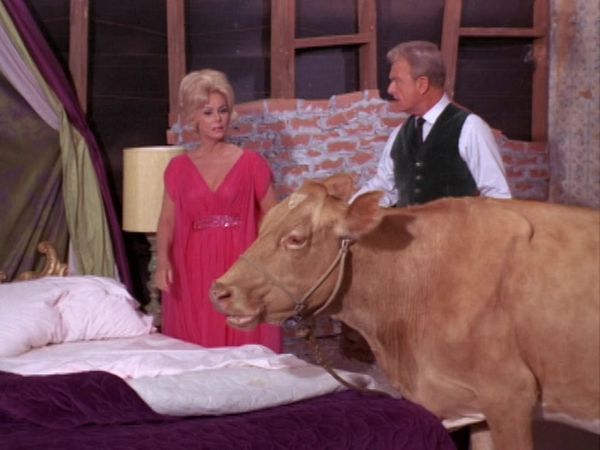 Green Acres - A Husband For Eleanor