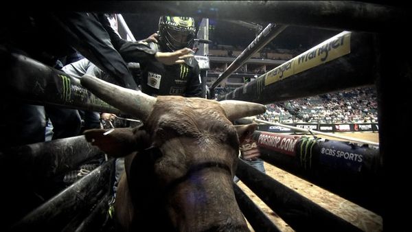 UTB 2021 - PBR Bull Riding Tulsa, OK Championship Round 2021