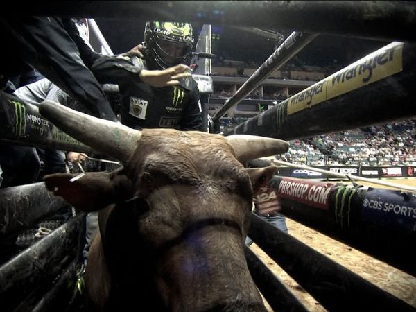 UTB 2021 - PBR Bull Riding Tulsa, OK Championship Round 2021