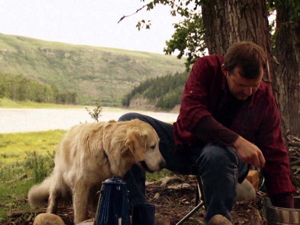 Pet Heroes - Hero On The Mountain