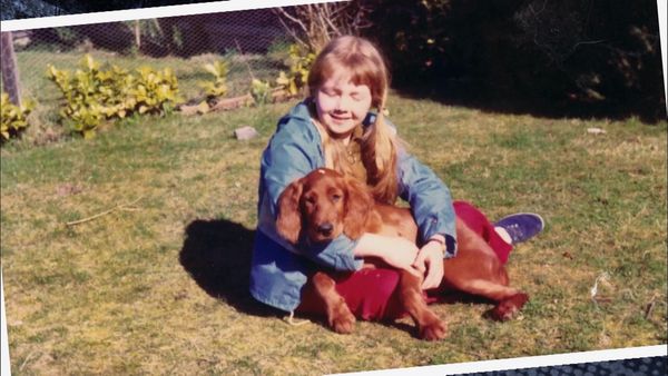 Pet Heroes - Medical Emergency