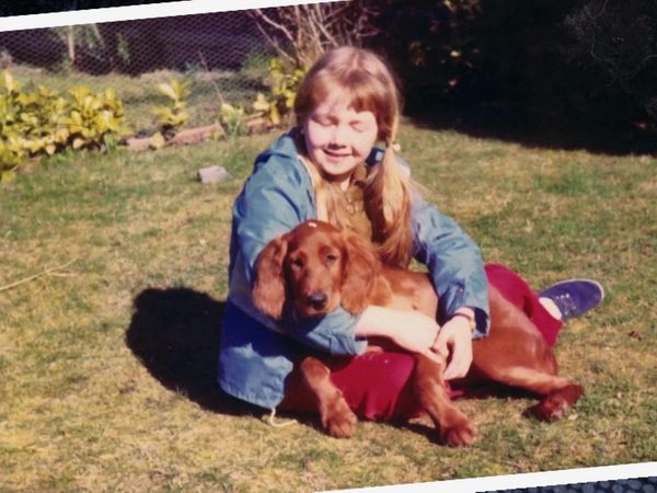Pet Heroes - Medical Emergency