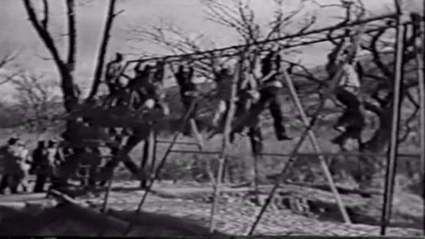 The Negro Soldier - African Americans in WWII: Legacy of Patriotism and Valor