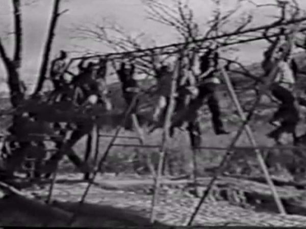 The Negro Soldier - African Americans in WWII: Legacy of Patriotism and Valor