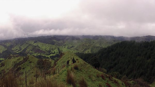 Wild About New Zealand - Tongariro, Whanganui