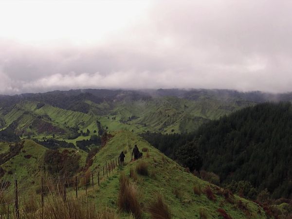 Wild About New Zealand - Tongariro, Whanganui
