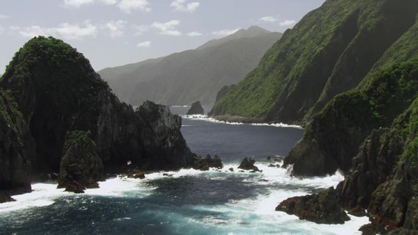 Wild About New Zealand - Fiordland National Park