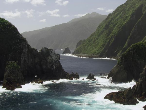 Wild About New Zealand - Fiordland National Park